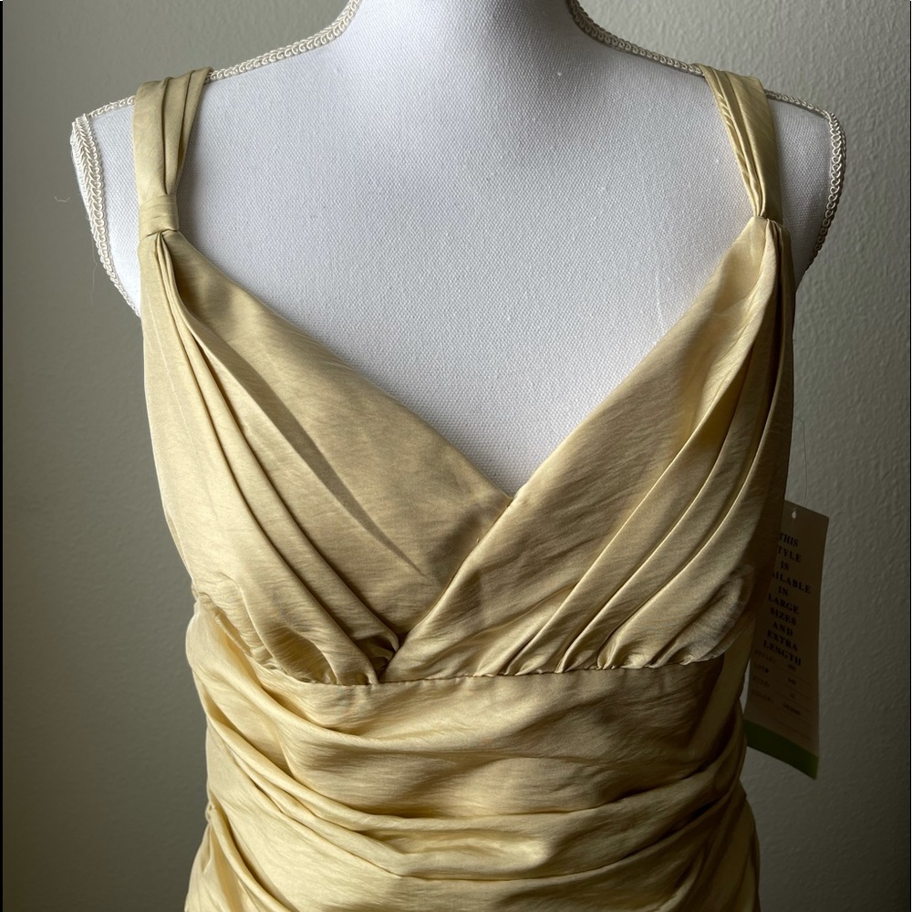Stunning Bill Levkoff Formal Dress